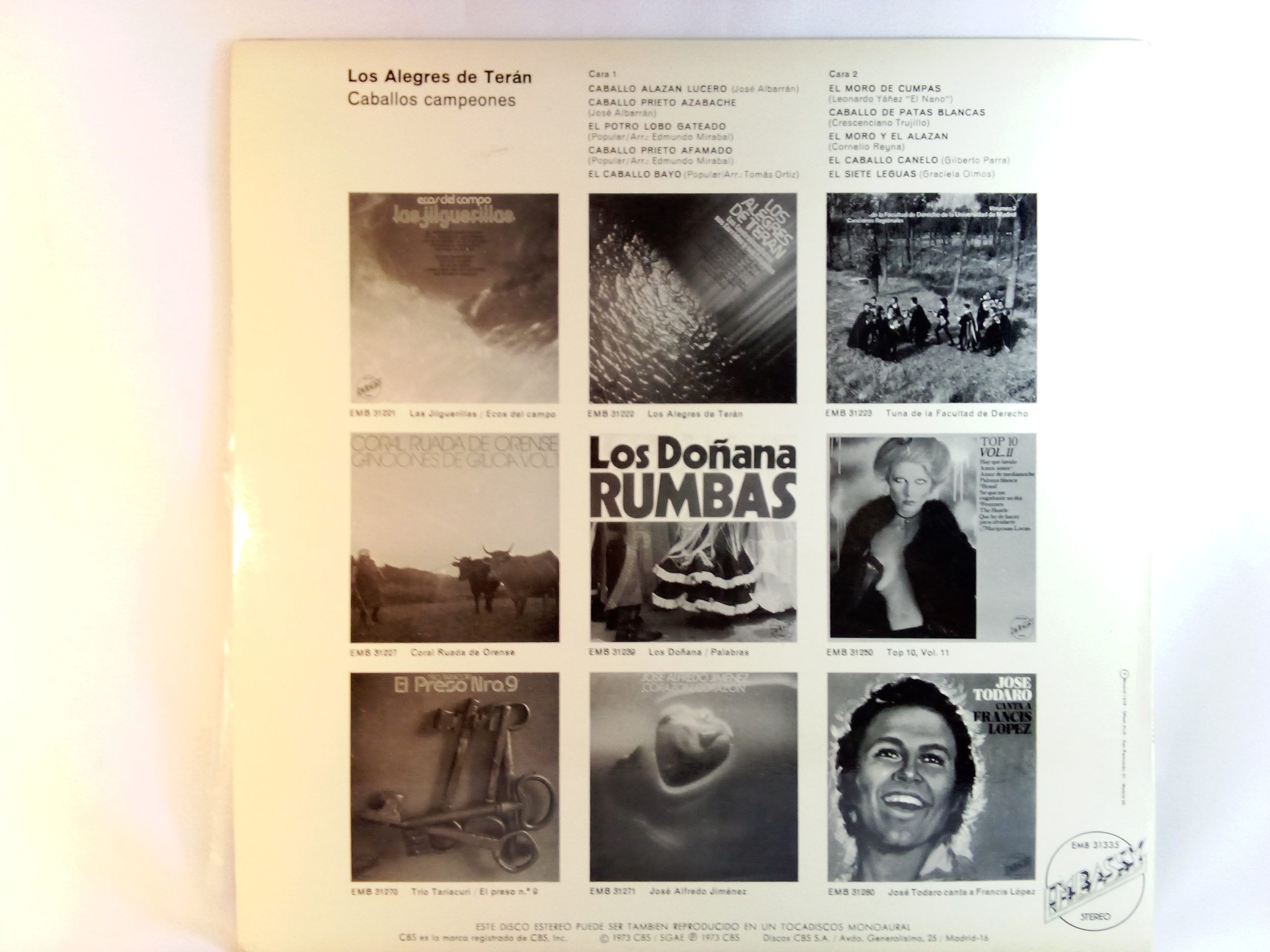 Los Alegres De Terán: Caballos Campeones, Los Alegres De Terán, Ranchera, discos de vinilo de Ranchera, Música mexicana, Tienda de vinilos en Santiago, Tienda online de vinilos, discos de vinilo Providencia