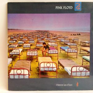Pink Floyd: A Momentary Lapse Of Reason, Pink Floyd, vinilos de Pink Floyd, Pink Floyd Chile, Rock Progresivo, Rock Clásico, vinilos de Rock Chile, discos de vinilo Rock